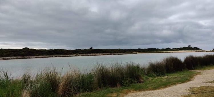 Anglesea River